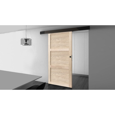 Porte coulissante seule